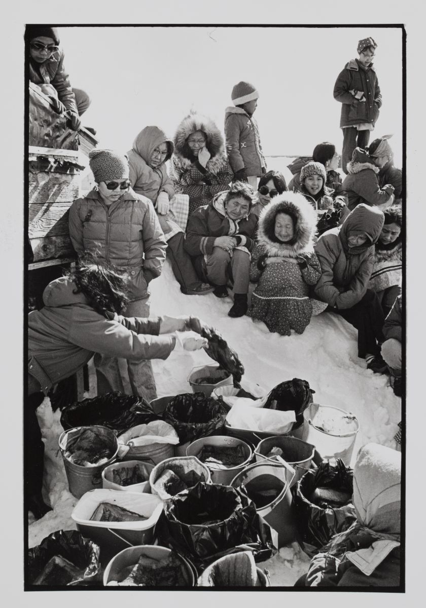 women conduct seal party