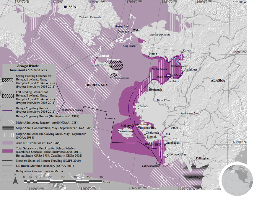Beluga habitat map