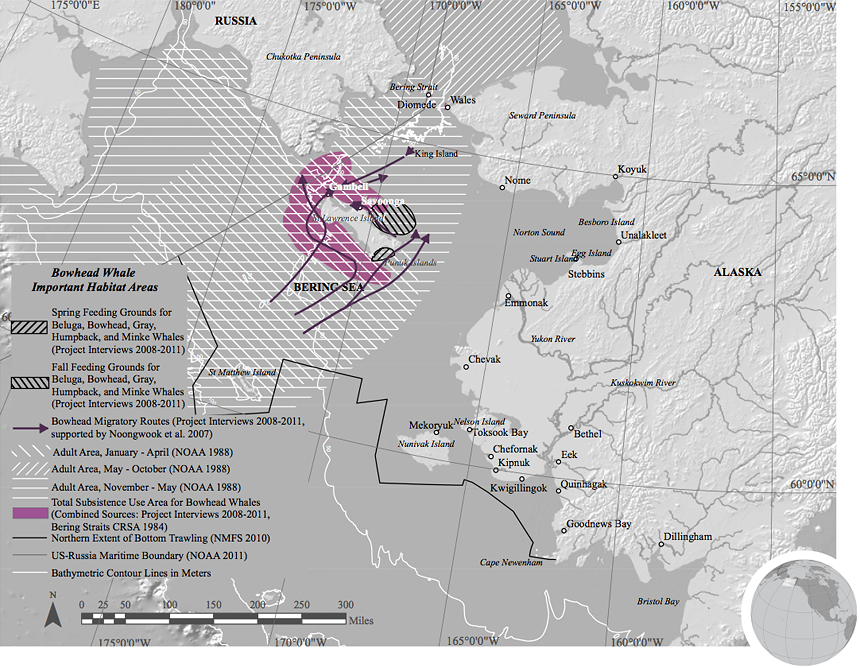 Bowhead habitat map