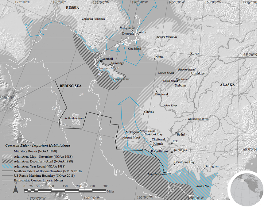 Common eider habitat map