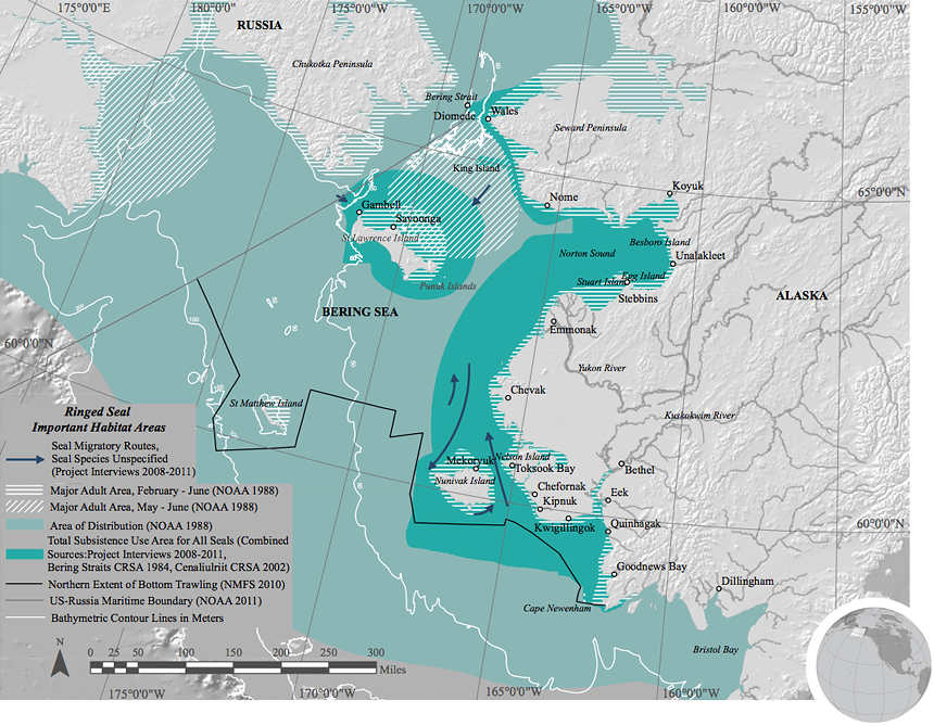 Ringed seal habitat map