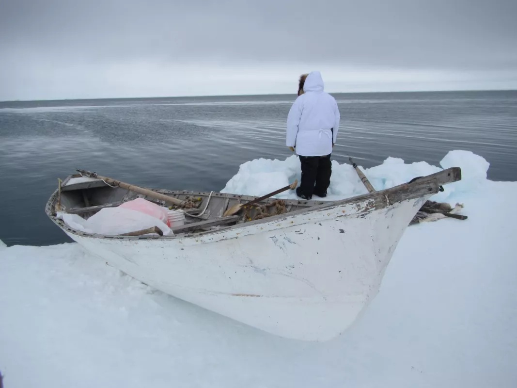 Billy Adams observes the environment from the ice lead edge near Utqiaġvik, Alaska. This photo is part of an observation record in the AAOKH online database developed by ELOKA. Credit: Mette Kaufman