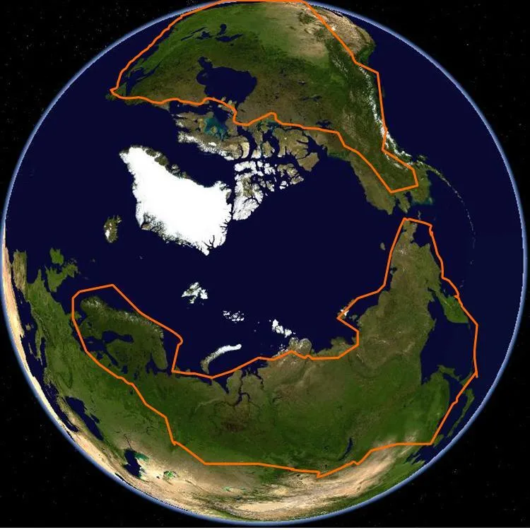 Circumpolar area of distribution of bear ceremonialism.