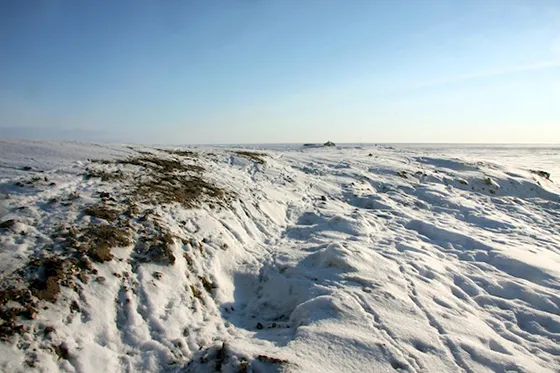 Nomadic reindeer camp 4 on the Halartsa tundra.