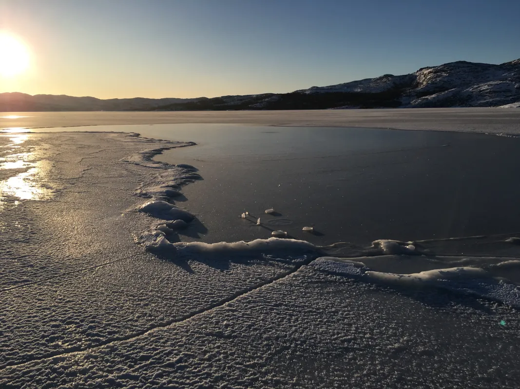 sea ice forming on coast
