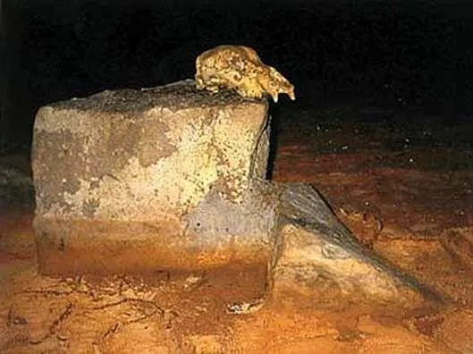 Cave Bear Skull on Pedestal, Chauvet Cave, France