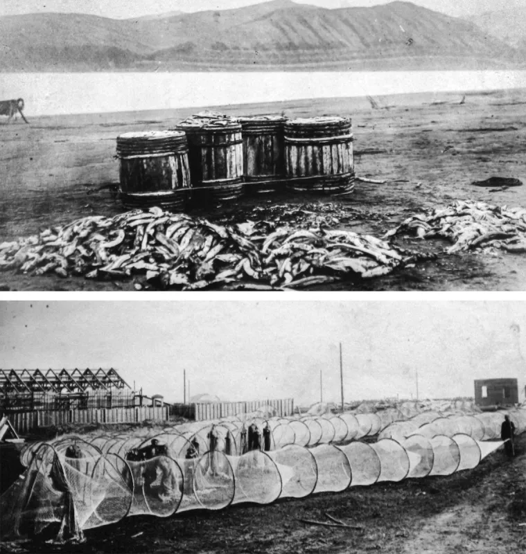 1900s fish harvests from Labtev Sea