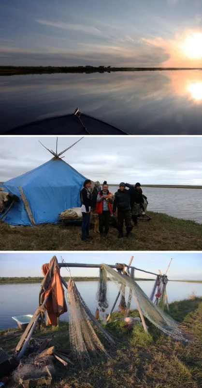 Lower kolyma fisheries images