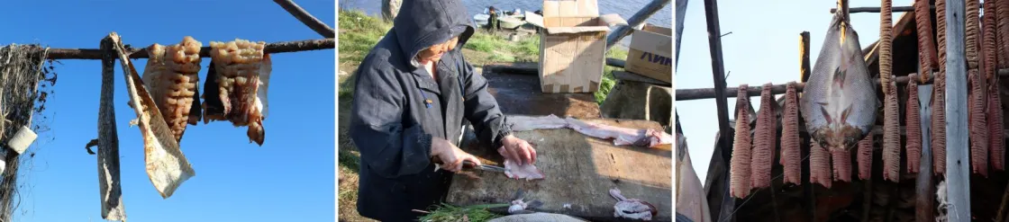 Fish drying techniques