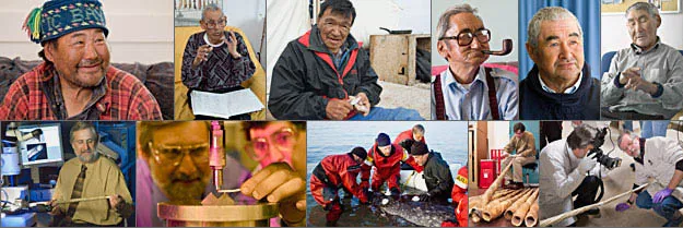 Photo collage of Narwhal Research Project participants