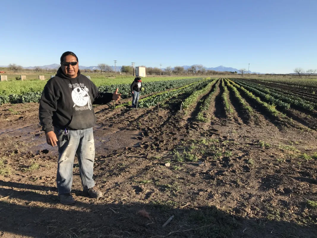 A co-op worker gives a tour of the vegetable fields at San Xavier Cooperative Farm on the Tohono O'odham Nation in Tucson, Arizona. 