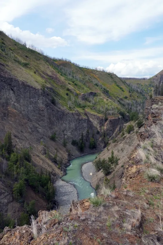 Tahltan river