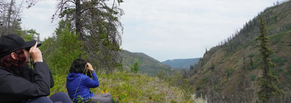 TWILD members look out onto mountain