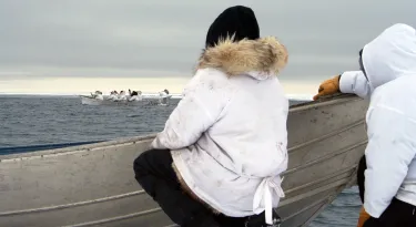 Whalers watching others