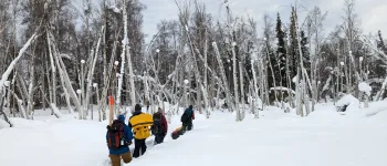 Several SnowEx team members break trail into the forest in search of site location to dig a snow pit. 